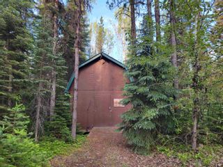 Photo 31: 6989 BOWRON LAKE Road in Wells / Barkerville: Wells/Barkerville House for sale (Quesnel)  : MLS®# R2792631
