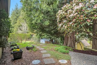 Photo 33: 34869 EVERETT Drive in Abbotsford: Abbotsford East House for sale in "EVERETT ESTATES" : MLS®# R2873648