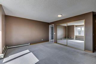 Photo 17: 303 333 2 Avenue NE in Calgary: Crescent Heights Apartment for sale : MLS®# A2032309
