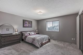 Photo 26: 17 Cranleigh Terrace SE in Calgary: Cranston Detached for sale : MLS®# A2034568