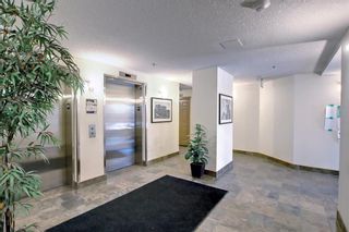Photo 42: 628 990 Centre Avenue NE in Calgary: Bridgeland/Riverside Apartment for sale : MLS®# A1213258