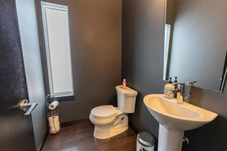 Photo 21: 53 Cypress Ridge in Winnipeg: South Pointe Residential for sale (1R)  : MLS®# 202110578