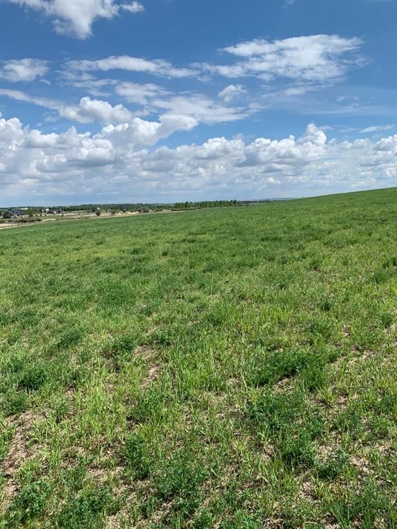Photo 15: Photos: 62 ac Corner of Hwy 552 306 Ave West (Strathcona  School/Polo Club): Rural Foothills County Residential Land for sale : MLS®# A1227910