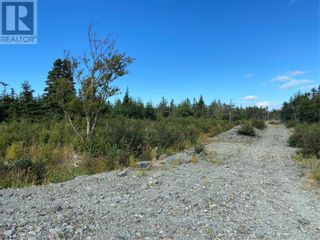 Photo 11: 15 Philip's Place in Flatrock: Vacant Land for sale : MLS®# 1250197