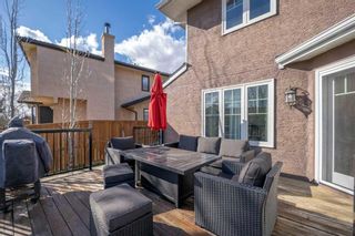 Photo 43: 110 Mt Robson Close SE in Calgary: McKenzie Lake Detached for sale : MLS®# A2127722