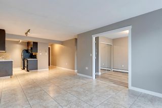 Photo 13: 205 2602 14A Street SW in Calgary: Bankview Apartment for sale : MLS®# A2053173