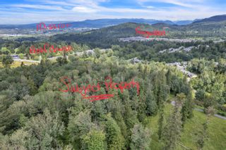 Photo 12: LT.7 MCKEE Road in Abbotsford: Abbotsford East Land Commercial for sale : MLS®# C8061092