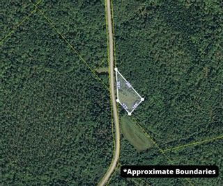 Photo 4: Lot Jones Road in Blue Mountain: Kings County Vacant Land for sale (Annapolis Valley)  : MLS®# 202226475