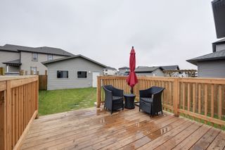 Photo 29: 732 Secord Boulevard: Edmonton House for sale : MLS®# E4128935