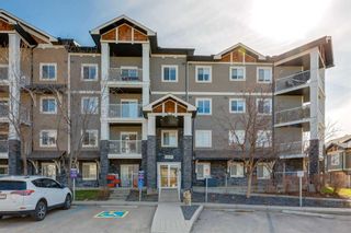 Photo 1: 1210 115 Prestwick Villas SE in Calgary: McKenzie Towne Apartment for sale : MLS®# A2125964