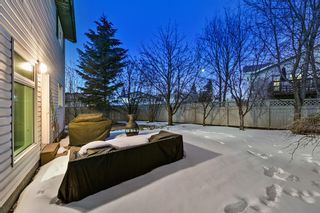 Photo 45: 2 JENSEN HEIGHTS Court NE: Airdrie Detached for sale : MLS®# A2035407