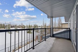 Photo 35: 226 Crystal Green Place: Okotoks Detached for sale : MLS®# A2124052