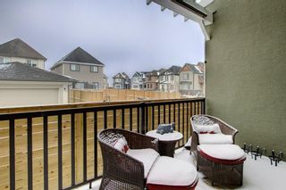 Photo 27: 341 MARQUIS Heights SE in Calgary: Mahogany House for sale : MLS®# C4177728