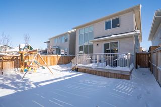Photo 43: 202 Chaparral Valley Way SE in Calgary: Chaparral Detached for sale : MLS®# A2010511
