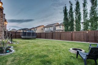 Photo 44: 106 Cranford Green SE in Calgary: Cranston Detached for sale : MLS®# A1082184