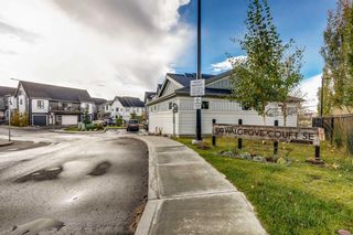 Photo 18: 4303 100 Walgrove Court SE in Calgary: Walden Row/Townhouse for sale : MLS®# A2090605