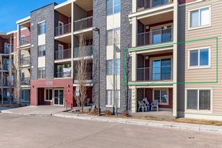Photo 1: 216 5 Saddlestone Way NE in Calgary: Saddle Ridge Apartment for sale : MLS®# A2034903