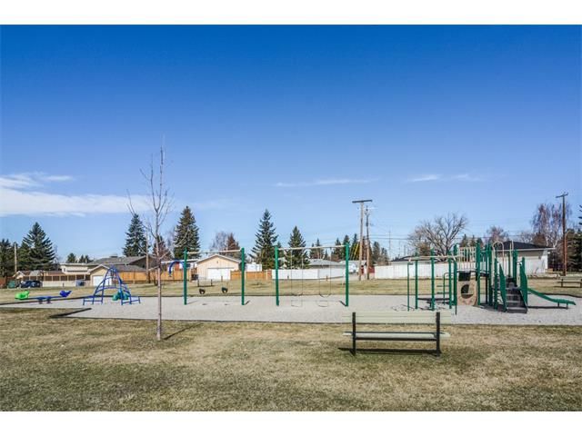 Photo 49: Photos: 519 MURPHY Place NE in Calgary: Mayland Heights House for sale : MLS®# C4110120