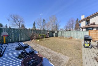 Photo 43: 7 Shawcliffe Place SW in Calgary: Shawnessy Detached for sale : MLS®# A1198999