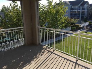 Photo 3: 304 6359 198 Street in Langley: Willoughby Heights Condo for sale : MLS®# R2338590