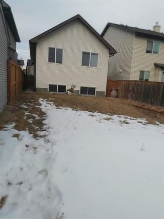 Photo 48: 163 Silverado Way SW in Calgary: Silverado Detached for sale : MLS®# A1178624