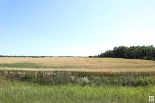 Photo 16: 48325 RR 271: Rural Leduc County Rural Land/Vacant Lot for sale : MLS®# E4308744