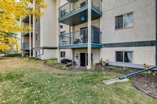 Photo 24: 106 10 Dover Point SE in Calgary: Dover Apartment for sale : MLS®# A1173162