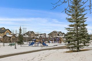 Photo 32: 189 Heritage Isle: Heritage Pointe Detached for sale : MLS®# A1184047