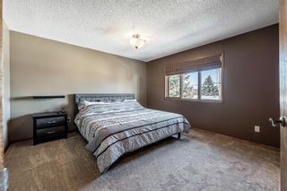 Photo 17: 102 Thornburn Place: Strathmore Detached for sale : MLS®# A2033701