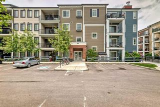Main Photo: 1317 215 Legacy Boulevard SE in Calgary: Legacy Apartment for sale : MLS®# A2137213