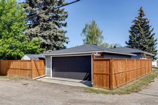 Photo 4: 9559 Assiniboine Road SE in Calgary: Acadia Detached for sale : MLS®# A2053426