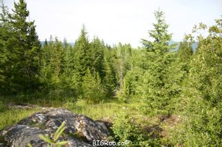 Photo 18: 190 SW Christison Road in Salmon Arm: Gleneden Vacant Land for sale : MLS®# 10118444