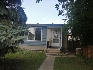 Photo 21: 393 Tweed Avenue in Winnipeg: Elmwood Residential for sale (3A)  : MLS®# 202323729