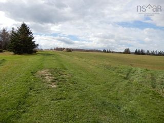 Photo 8: 55 acres Highway 6 in Toney River: 108-Rural Pictou County Vacant Land for sale (Northern Region)  : MLS®# 202224296