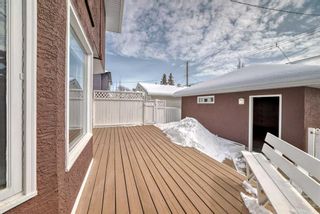 Photo 37: 1533 19 Avenue NW in Calgary: Capitol Hill Detached for sale : MLS®# A2114696