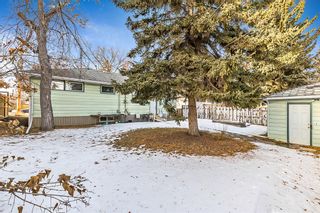 Photo 10: 644 37 Street SW in Calgary: Spruce Cliff Detached for sale : MLS®# A2020877