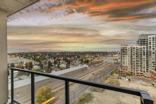 Photo 33: 1413 8880 Horton Road SW in Calgary: Haysboro Apartment for sale : MLS®# A2005788