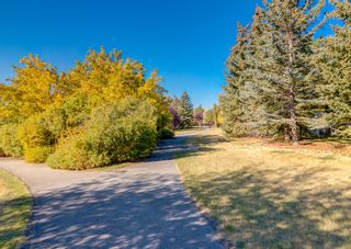 Photo 45: 250 Riverview Circle SE in Calgary: Riverbend Detached for sale : MLS®# A2002243
