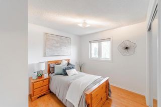 Photo 12: 32 Code Street in Winnipeg: Tyndall Park Residential for sale (4J)  : MLS®# 202012340