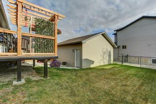 Photo 29: 541 Carriage Lane Drive: Carstairs Detached for sale : MLS®# A1039901