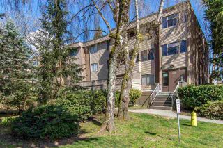 Photo 1: 32 2434 WILSON Avenue in Port Coquitlam: Central Pt Coquitlam Condo for sale in "ORCHARD VALLEY" : MLS®# R2379250