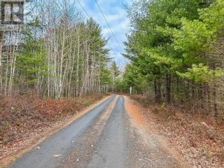 Photo 11: Lot 4 Harbour Acres Road in Molega: Vacant Land for sale : MLS®# 202324055