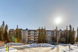 Photo 2: 313 20 Discovery Ridge Close SW in Calgary: Discovery Ridge Apartment for sale : MLS®# A2032652