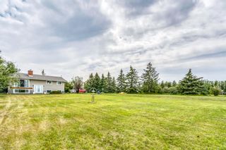 Photo 4: 255210 Range Road 282 in Rural Rocky View County: Rural Rocky View MD Detached for sale : MLS®# A1245909
