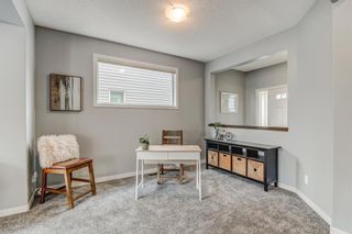 Photo 3: 167 Skyview Shores Crescent NE in Calgary: Skyview Ranch Detached for sale : MLS®# A2019286