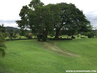 Photo 40: Panama City Condo on the Golf Course