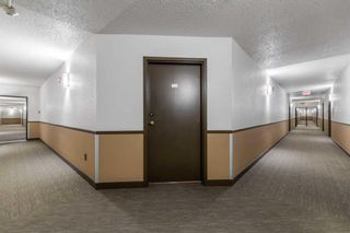Photo 18: 209 11 Dover Point SE in Calgary: Dover Apartment for sale : MLS®# A2130019