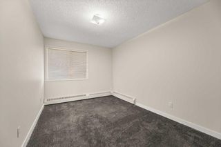 Photo 11: 223 6108 53 Street: Olds Apartment for sale : MLS®# A2094155