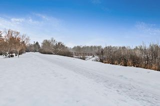 Photo 42: 163 Woodhaven Drive: Okotoks Detached for sale : MLS®# A2014581