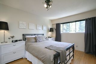 Photo 21: 10248 MICHEL Place in Surrey: Whalley House for sale (North Surrey)  : MLS®# F1123701